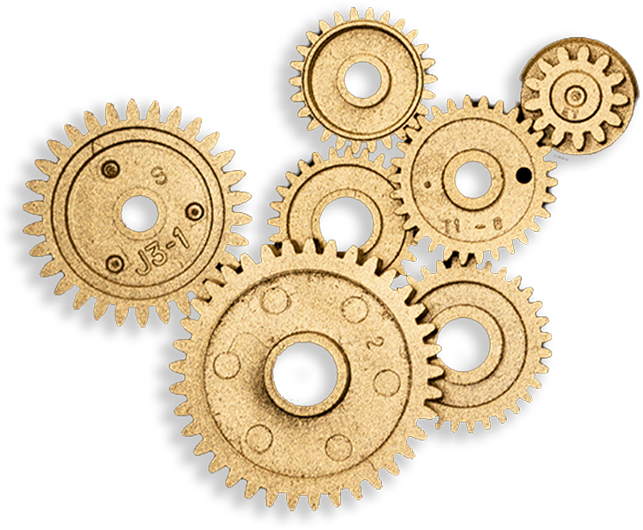 Gears arranged artistically, representing a case study on injection molding manufacturing.